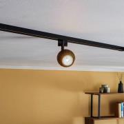 Prios Felipo 1-faset skinnespotlight, svart