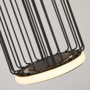 LED-pendellampe Cage, 1 lyskilde, svart