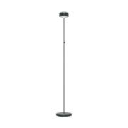 Puk Maxx Eye Floor LED-lampe matt, antrasitt/krom