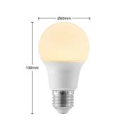 LED-pære E27 A60 8W 3 000 K opal 2 stk