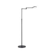 LED-gulvlampe Caro, 1-lys, svart