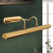 Bildelampe Lariga, messingfarget, metall, 65 cm, E14