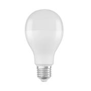 OSRAM Star LED-pære E27 19W 2452lm 6 500 K matt