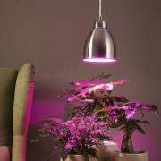 Paulmann Neordic Hilla hengelampe, børstet jern