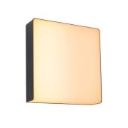 Paulmann LED utendørs vegglampe Azalena zigbee, 2200K, svart