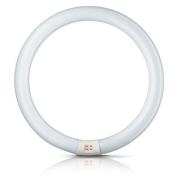 G10q 32W 840 lysstoffring Master Circular TL-E