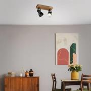 Arbo downlight med treelement, 2 lyskilder