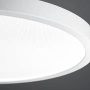 LED-hengelampe VIVAA 2.0 Ø45 cm kabel hvit 4 000 K