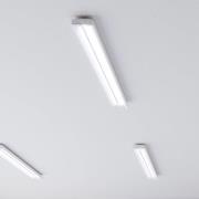 Siteco Taris LED-taklampe 151 cm el. ball. DALI