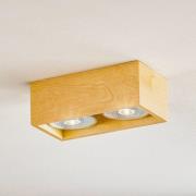 Solana downlight tre kantet 2 lyskilder