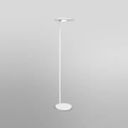 LEDVANCE SUN@Home Panan Floor, LED-gulvlampe