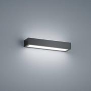 Helestra Theia LED-vegglampe, matt svart 30 cm