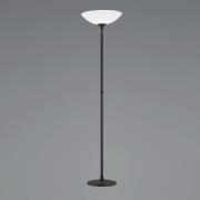 BANKAMP Opera LED-uplight, svart