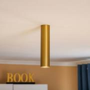 Downlight Eye, høyde 25 cm, messing