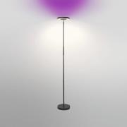 LEDVANCE SMART+ WiFi LED-gulvlampe up/down RGBW