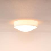 Taklampe Lex, rund, Ø 25 cm, hvit