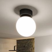 Paulmann Gove LED-taklampe, svart, IP44
