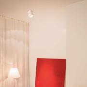 EGG DLS LED-downlight Clippo, dimbar til varm, hvit/gull