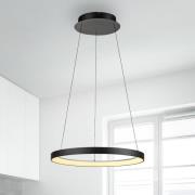 Paul Neuhaus LED-hengelampe Hoop, svart, Ø 57 cm, dimbar