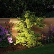 Paulmann Plug & Shine spot med jordspyd Sting 3000K