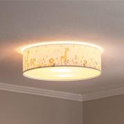 Taklampe til barnerommet Max, Ø 50 cm