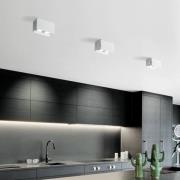 Taklampe Elide 2 lyskilder