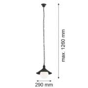 Utendørs pendellampe Enduro, svart, stål, glass, IP44, E27