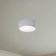 Taklampe Cleo, Ø 20 cm, IP54, grå, metall, E27