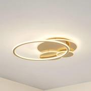 Lucande LED-taklampe Circulo, gull, 60 cm CCT, dimbar