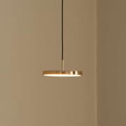 UMAGE LED-hengelampe Asteria Micro, polert messing, Ø 15 cm