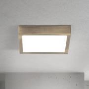 LED-taklampe Disc, antikk messingfarget, lengde 14 cm, CCT