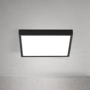 LED-taklampe Disc, svart Lengde 24 cm, CCT Metall