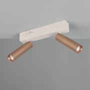 LED-downlight Ambala, lengde 26 cm, grå/brun, 2 lyskilder