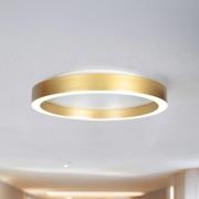 LED-taklampe Ringlux gullfarget, Ø 30 cm, metall, 2700 K