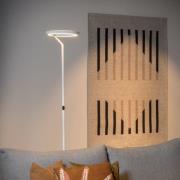 LED-gulvlampe Celeste, hvit, høyde 174 cm, metall