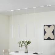 Skinne system 48V Lumaro, pendel, rørpære, 5 lyskilder, hvit, CCT