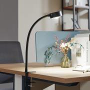 Lindby skrueklemlampe Jyla, matt svart, GX53, fleksibel arm