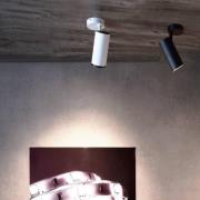LED-downlight Lucea, justerbar, 10 W hvit