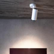 LED-downlight Lucea, justerbar, 20 W hvit