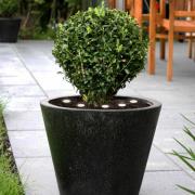 LED-bakkelys Spinetoli 2, sett med 6 stk. med jordspyd