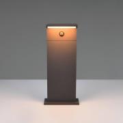LED-sokkellampe Ravi, antrasitt, høyde 50 cm, sensor, IP54