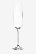 Champagneglass PUCCINI 6-pk