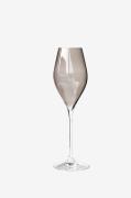 Zelected by HouzeChampagneglass Grace 4-pkGråVinglassFra Homeroom