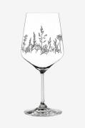 NachtmannVin/Spritz Glass Tattoo Botanical Black 2-pkTransparentVingla...