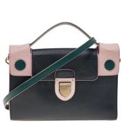 Pre-owned Multicolor Leather Dior veske