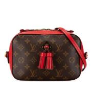 Pre-owned Leather louis-vuitton-bags