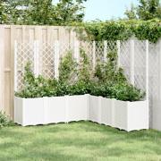 vidaXL Plantekasse med espalier hvit 160x160x140 cm PP