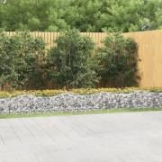 vidaXL Buet gabion høybed 800x100x50 cm galvanisert jern