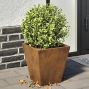 vidaXL Hageplanter 2 stk 30x30x30 cm oksidert stål