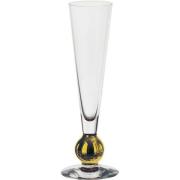 Orrefors Nobel Champagneglass 18 cl